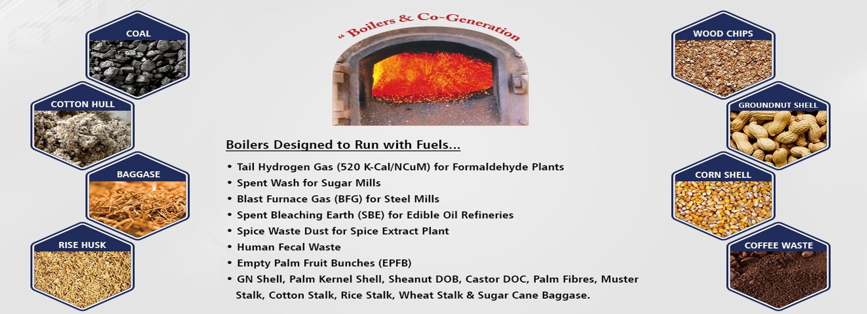 Reciprocating Grate Furnace